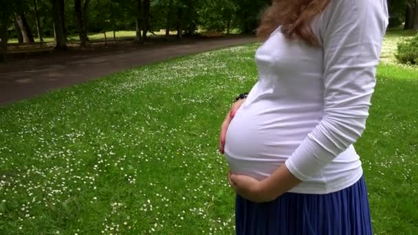 крупним планом вагітна жінка погладжує великий живіт, стоячи на парковій лузі
 - Кадри, відео