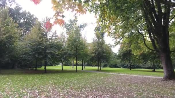 Brote aéreo de árboles otoñales en el parque
 - Imágenes, Vídeo