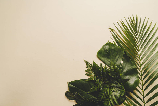 Tropical palm leaves with copy space - Фото, зображення