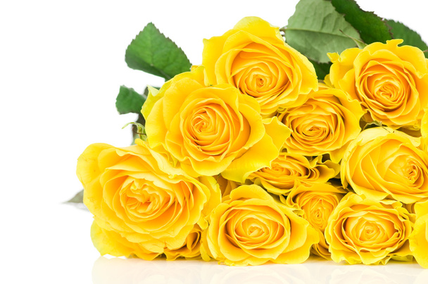 Yellow rose isolated on white background - Fotoğraf, Görsel
