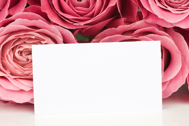 Pink roses and a card isolated on white - Foto, imagen