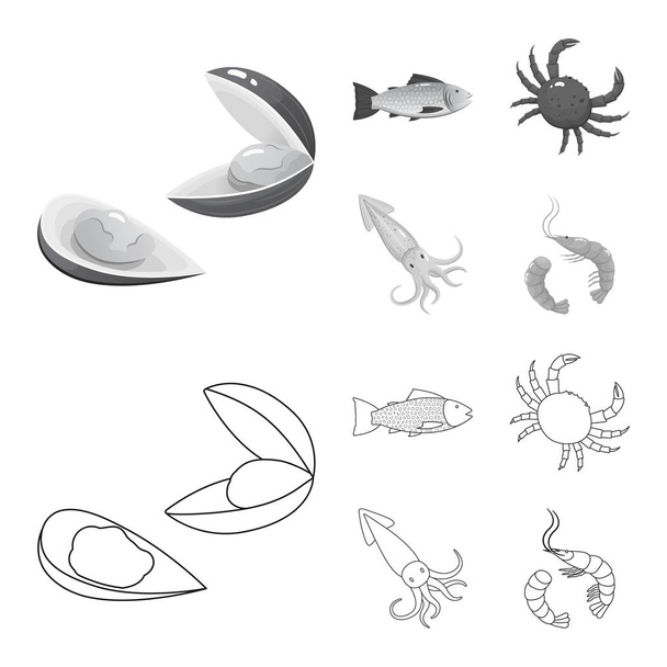 Vector illustration of fresh  and restaurant icon. Set of fresh  and marine   stock vector illustration. - Вектор, зображення