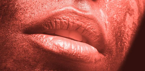 創造的なサンゴのメイクと女性のセクシーな唇 - 写真・画像