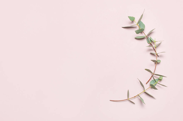 Eucalyptus twigs on pastel pink background. Flat lay, top view, copy space. Floral background, flowers composition, green Eucalyptus leaves, mock up. - Foto, Imagem