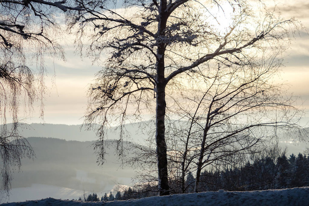 A wonderful winter landscape in beautiful Bavaria - Фото, изображение