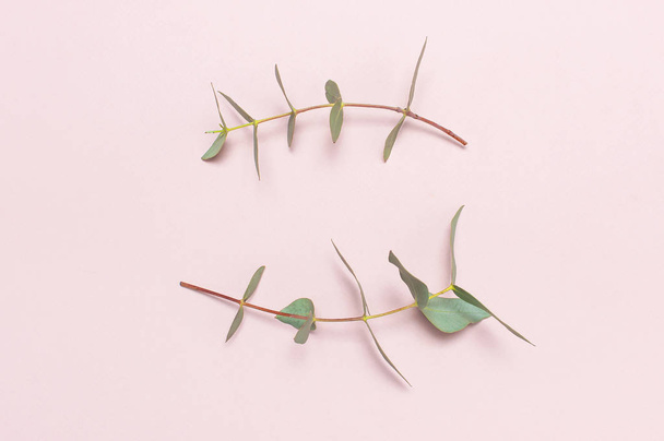Eucalyptus twigs on pastel pink background. Flat lay, top view, copy space. Floral background, flowers composition, green Eucalyptus leaves, mock up. - Fotografie, Obrázek