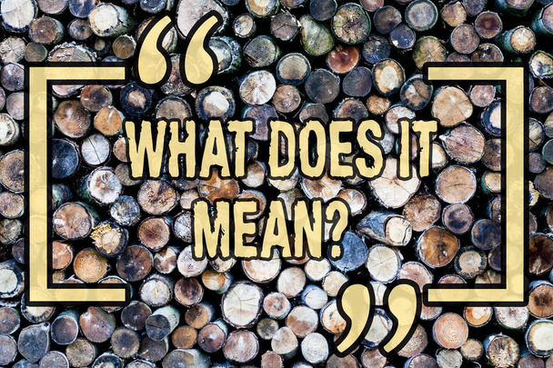 Λέξη κείμενο γράφοντας τι κάνει το Meanquestion. Επιχειρηματική ιδέα για σύγχυση περιέργεια ανάκριση ρωτήσετε ξύλινο υπόβαθρο εκλεκτής ποιότητας ξύλο άγριο μήνυμα ιδέες τις προθέσεις τις σκέψεις. - Φωτογραφία, εικόνα
