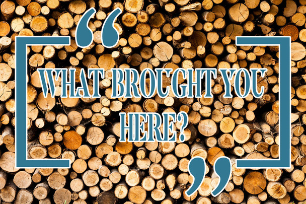 Σύνταξη Σημείωση που δείχνει τι έφερε να Herequestion. Επαγγελματίες φωτογραφία προβάλλοντας φιλοδοξία μπορεί να αποκτήσετε από προσδιορισμός ξύλινο υπόβαθρο εκλεκτής ποιότητας ξύλο άγριο μήνυμα ιδέες προθέσεις σκέψεις. - Φωτογραφία, εικόνα