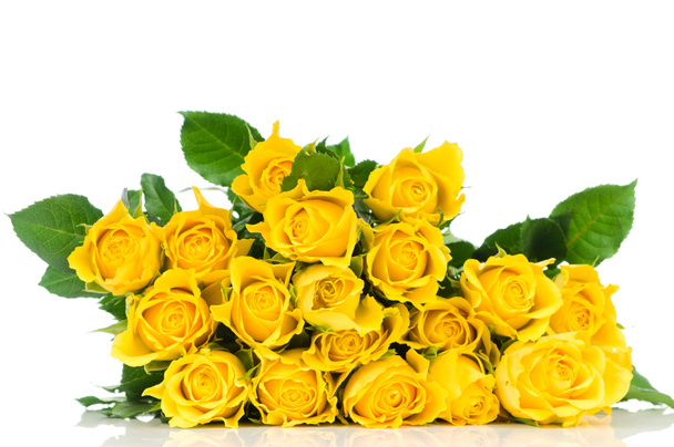 白い背景に黄色のバラが孤立 - 写真・画像