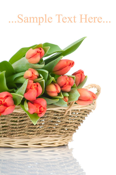 Tulips in the basket isolated on white background - Fotoğraf, Görsel