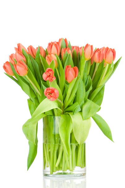 Tulips in the vase against white background - Valokuva, kuva