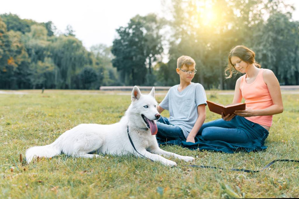 Children are resting in the park on green lawn with a white dog Husky, reading book, talking - Фото, изображение