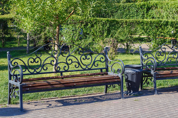 Iron benches in the town park in summer time. - Foto, Imagem