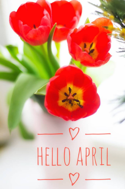 Banner hello april. Hi spring. Hello April. Welcome card We are waiting for the new spring month. The second month of spring. - Fotografie, Obrázek