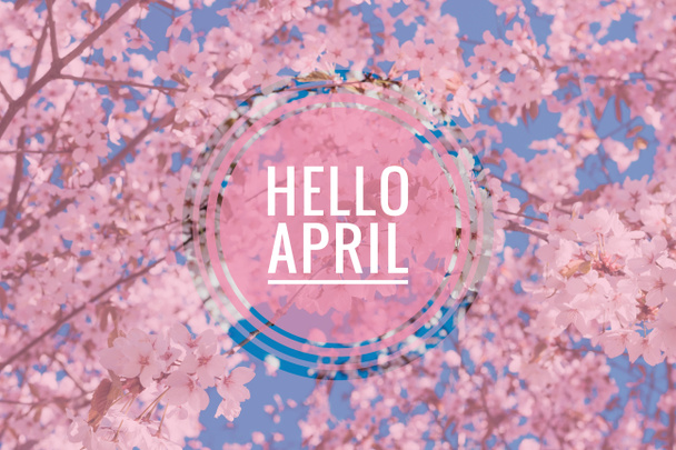 Banner hello april. Hallo lente. Hallo April. Welkomstkaart wij wachten tot de nieuwe maand. De tweede maand van de lente. - Foto, afbeelding