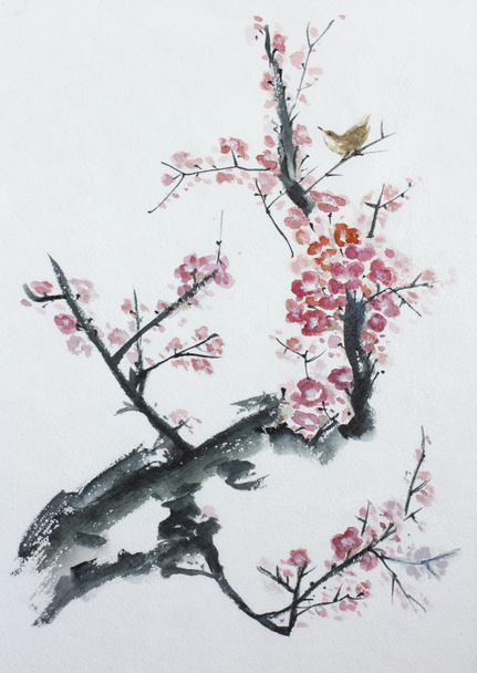 plum tree blossom - Фото, изображение