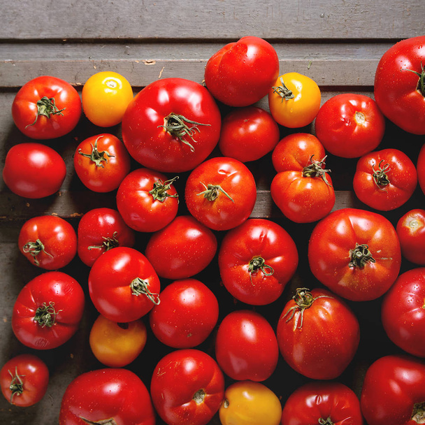 Ripe fresh tomatoes - Фото, зображення