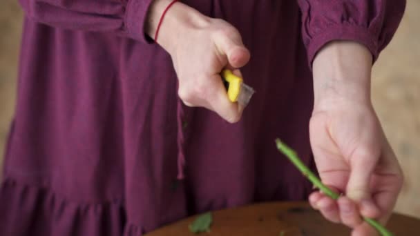 Young woman florist prepares flowers to create bouquet, close up - Video, Çekim