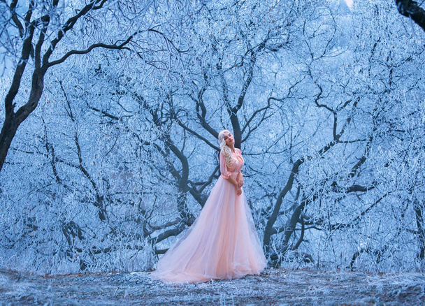 pretty lady with blond hair poses for the camera in a long light pink tender dress in a cold icy winter forest, soft fluffy white snow lies on the branches, a frost fairy like a cute nymph - Photo, image