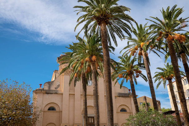 Palm trees in front of Eglise de la Misericorde in the center of L'le-Rousse, Corsica, France - Fotó, kép