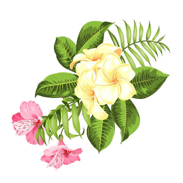 Label with plumeria flowers. Bouquet of aromatic tropical flowers. Invitation card template with color flowers of alstroemeria. - Vector, Image