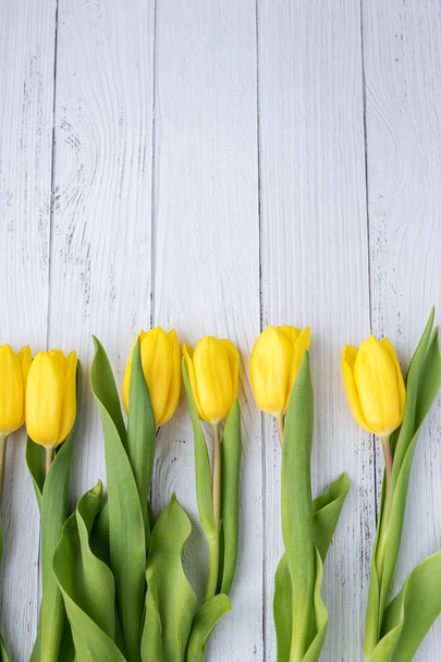 Gele tulpen bloemen op witte houten ondergrond. Wachten op de lente. Gelukkige Pasen kaart. Vlakke positie, bovenaanzicht. Plaats voor tekst. - Foto, afbeelding