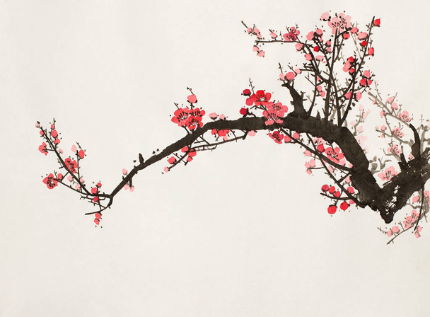 flowering branch of plum - Fotó, kép
