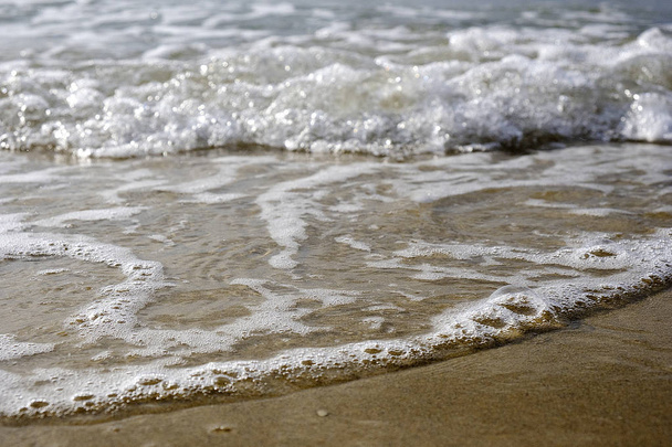 texture et fond et mousse de mer et sable
 - Photo, image