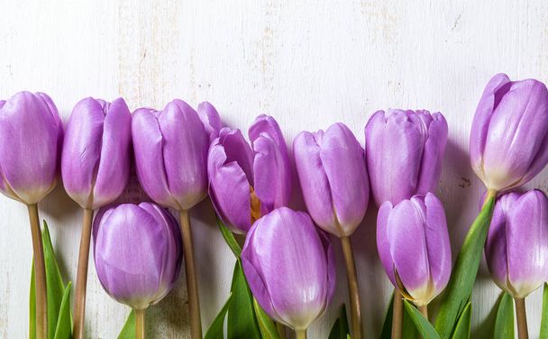 Lilac tulips on a white wooden table. - Foto, Bild