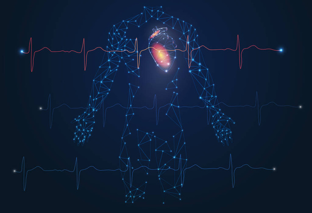 Абстрактний образ людини і серця. Інноваційні технології в медицині. Серцебиття, пульс, здорове серце
. - Вектор, зображення