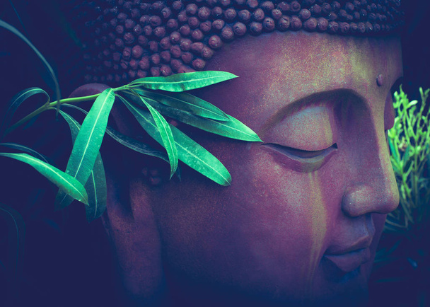 Buddha portrait sculpture with green  leaf in botanic garden, cl - Photo, Image