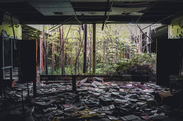 Detroit, Michigan, May 18, 2018: Interior view of abandoned and damaged George Ferris School in Detroit. Like other schools in Highland Park, Ferris went into a decline in enrollment numbers that it - Фото, изображение