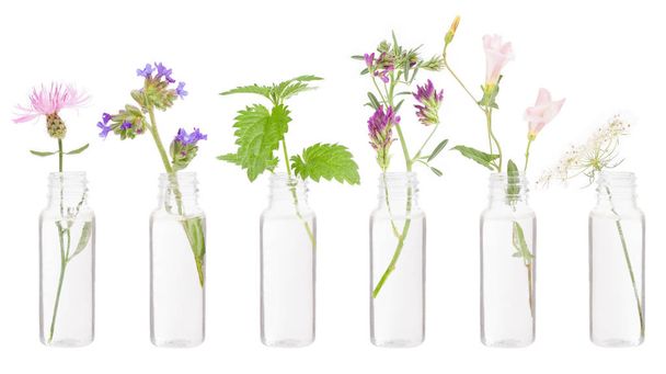 Bottle herbs on white FLORITERAPIA Bacha. - Valokuva, kuva