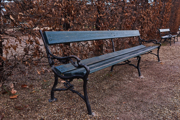 dřevěná lavička v podzimním parku - Fotografie, Obrázek