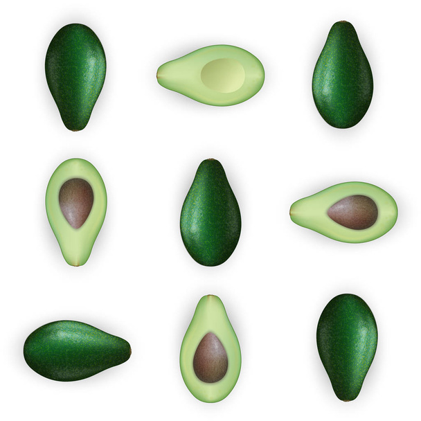 Realistic 3d avocado fruit isolated on white background. Cut pie - Vector, Image