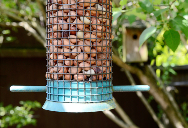 Alimentador de pássaros - Foto, Imagem