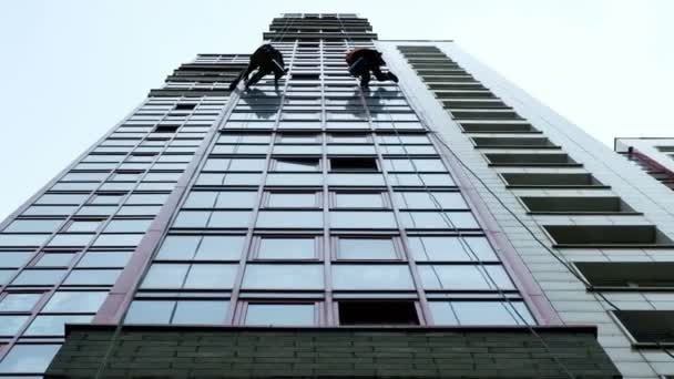 Dos escaladores industriales están lavando, limpiando la fachada de un moderno edificio de oficinas
 - Imágenes, Vídeo