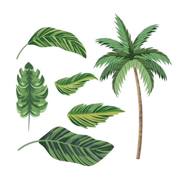 set tropical palm tree and exotic leaves - Vector, Image