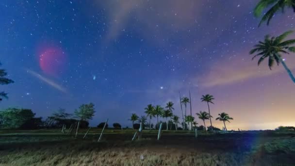 Высококачественный отрезок времени молочного пути появляется в полночь на пляже Сепат в Куантане с кокосовыми пальмами и некоторым световым загрязнением
. - Кадры, видео
