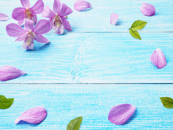 Pink orchid on blue wood background. - Photo, Image
