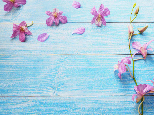 Pink orchid on blue wood background. - Foto, Imagen