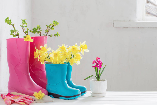 rubber boots and spring flowers on white background - Fotó, kép