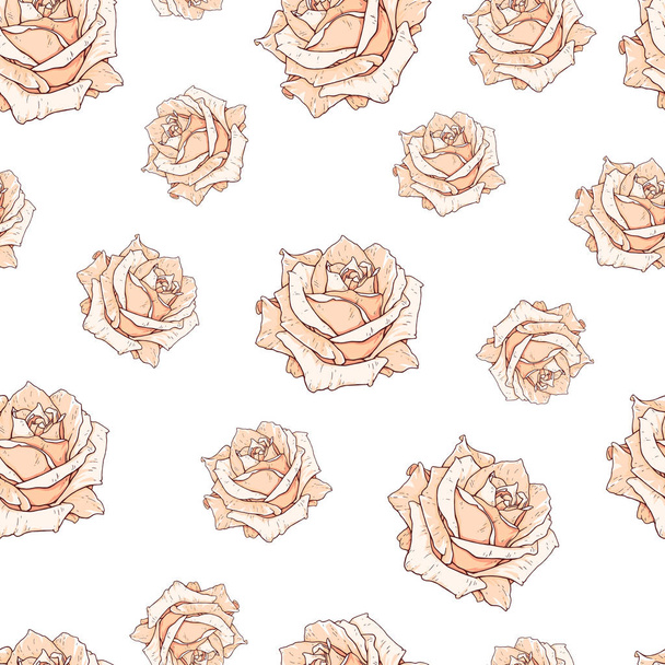 Drawn beige roses seamless background isolated on white. Flowers illustration front view. Pattern in romantic style for design of fabrics - Photo, Image