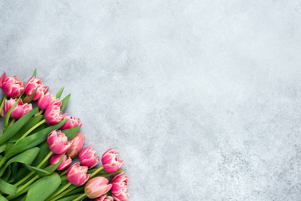 Pink peony tulips on grey concrete background - Фото, изображение
