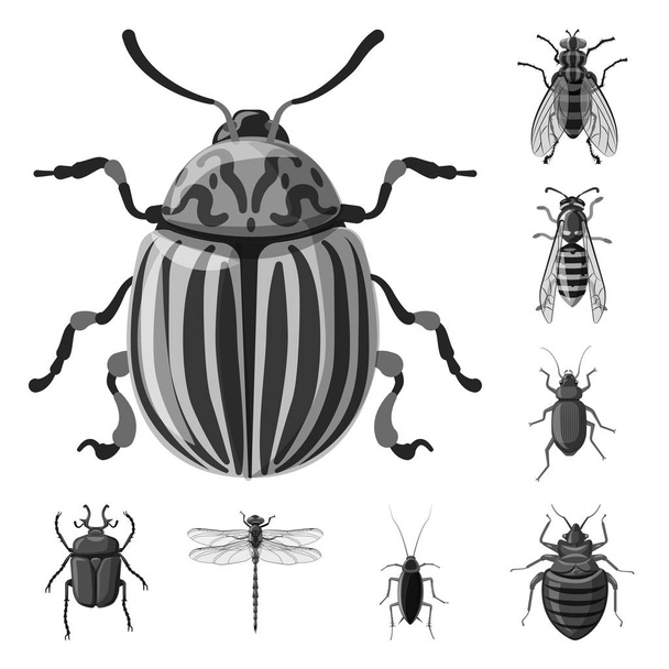 Vektoriesimerkki hyönteisten ja kärpästen merkistä. Hyönteisten ja alkuaineiden vektorien havainnollistaminen
. - Vektori, kuva