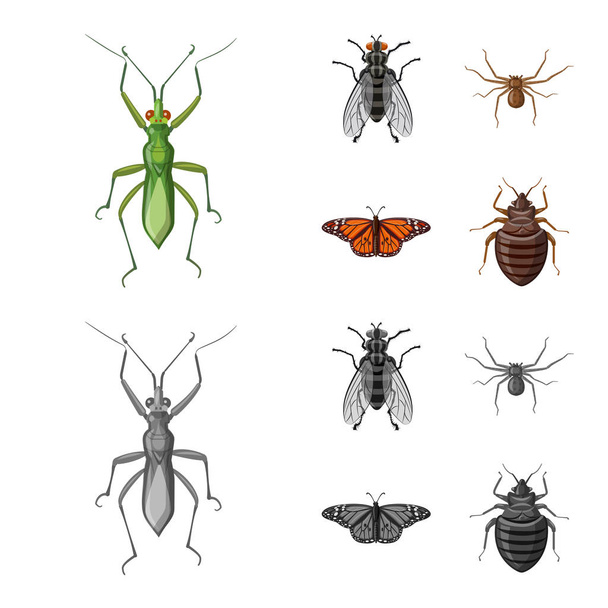 Vector design of insect and fly icon. Collection of insect and element stock symbol for web. - Vector, Image