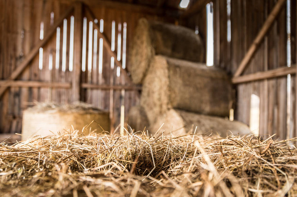 Stored bales of straw/hay inside of a farm, countryside - 写真・画像