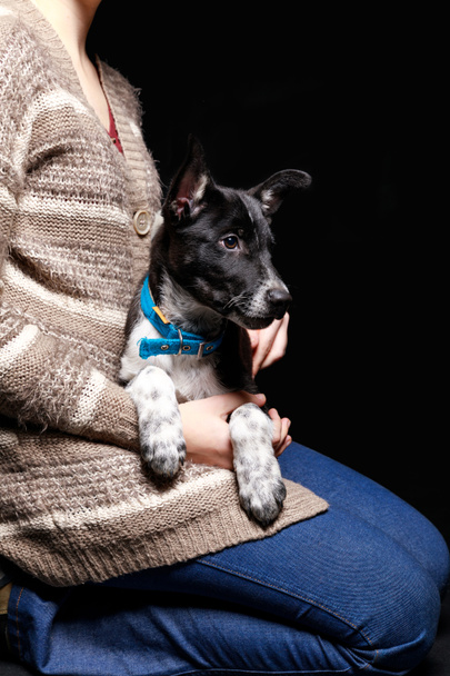 cropped view of woman in jeans and cardigan holding cute dark mongrel dog isolated on black - Valokuva, kuva