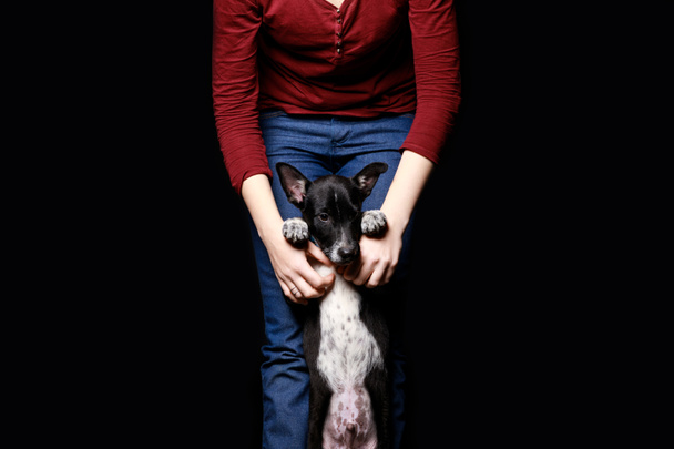 vista recortada de la mujer con perro mestizo en las patas traseras aislado en negro
 - Foto, Imagen