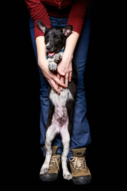 vista recortada de mujer en jeans con perro mestizo en cuello en patas traseras aisladas en negro
 - Foto, Imagen
